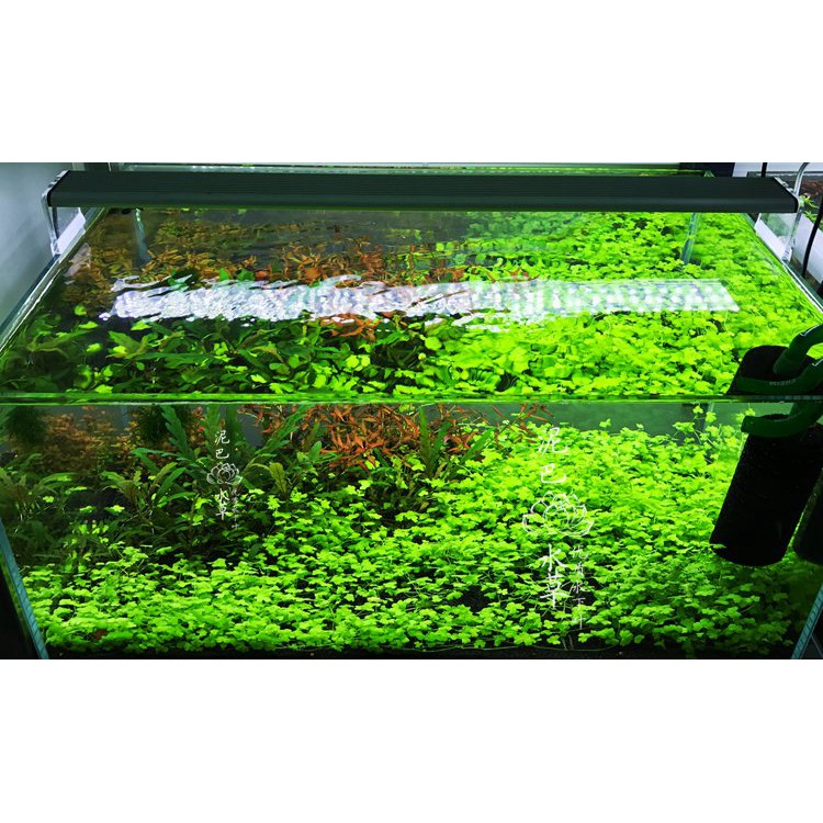 微量元素鉀肥鐵肥npk Diy水草液肥k2so4 Edta Feso4 Kh2po4 Kno3 減加壹原料館 蝦皮購物