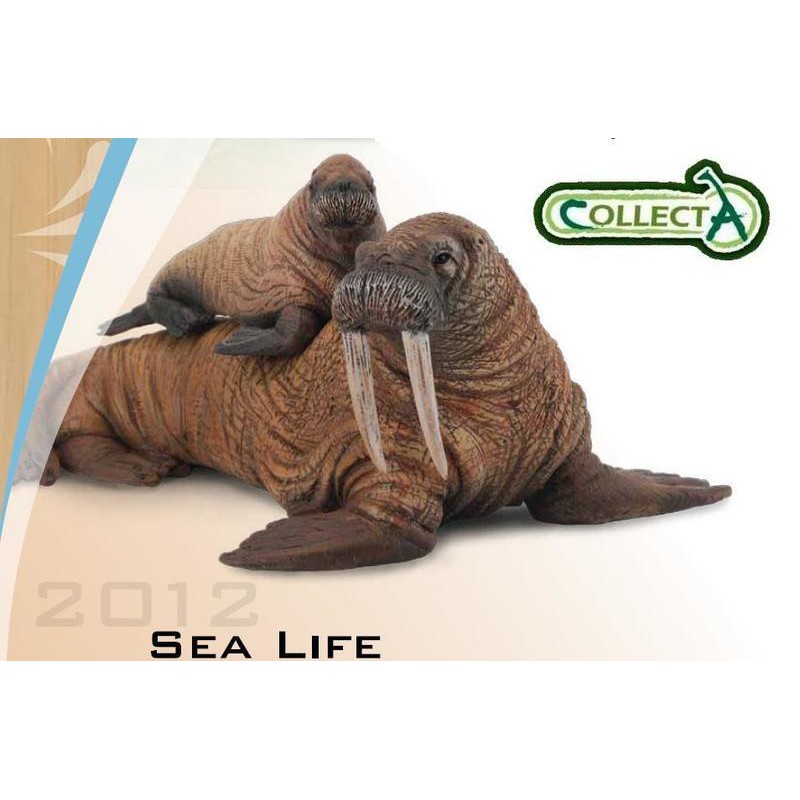 海洋動物模型 CollectA 極地動物 海象親子(一大一小)