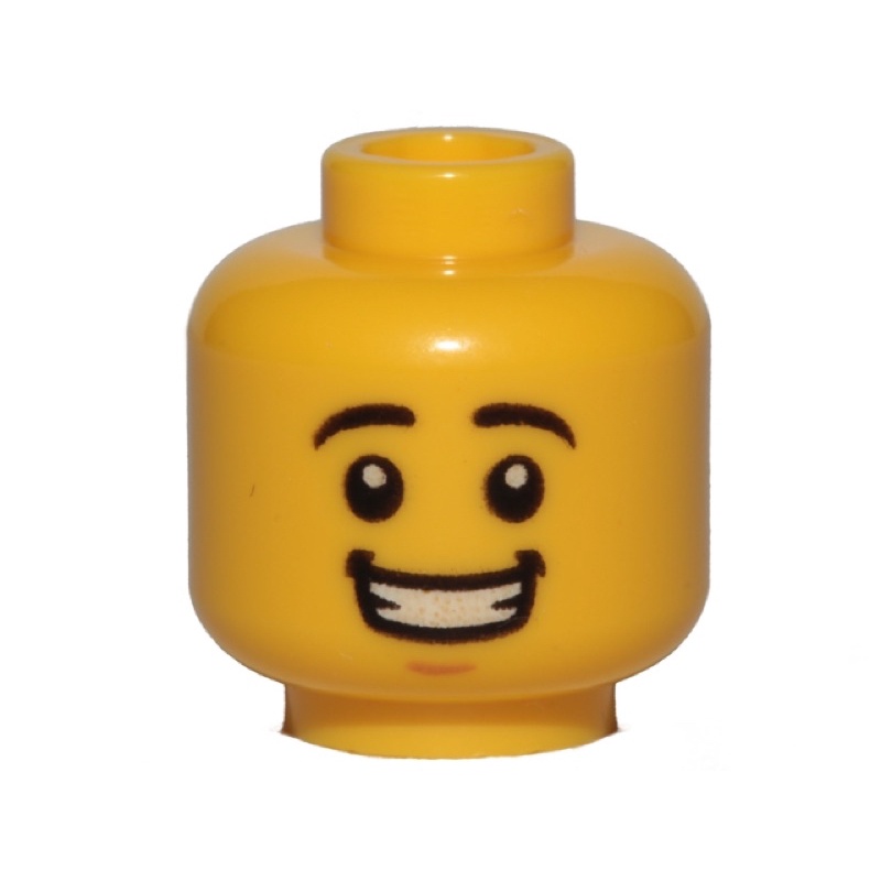 樂高 LEGO 頭 臉 表情（80102 80103 80104 3626cpb1569）