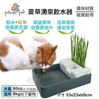 美國Pioneer Pet《麥草湧泉飲水器 D174》60oz(1.77公升) 自動循環 種草喝水兩用 『BABY寵貓館