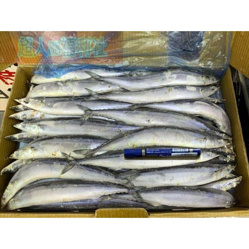 秋刀魚ㄧ箱在拍賣的價格推薦 21年11月 比價比個夠biggo