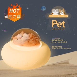 【現貨熱賣】新款卡通小夜燈usb床頭燈餵奶燈硅膠燈桌麵裝飾臺燈禮品批髮夜燈 NLCI