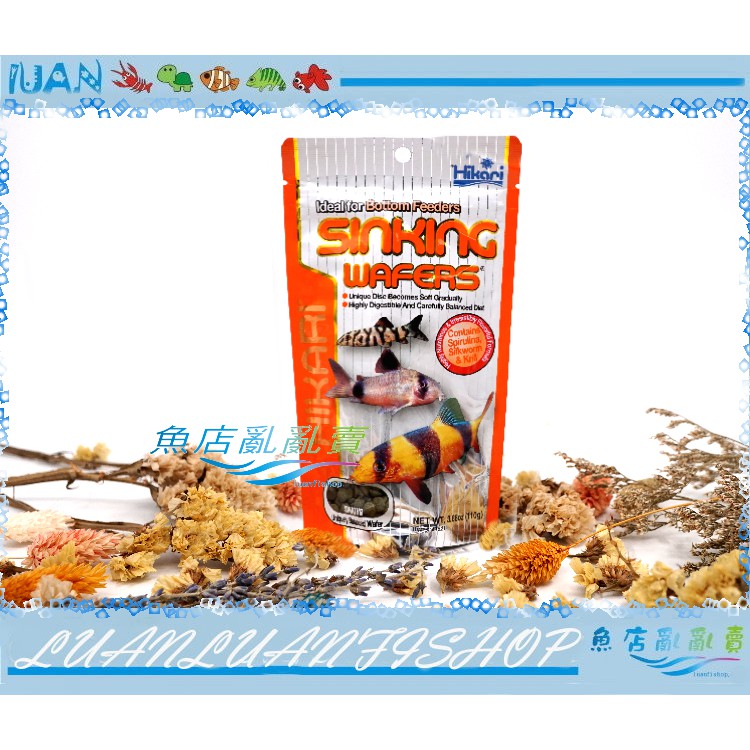 【魚店亂亂賣】日本Hikari高夠力鼠魚50g 專用主食營養飼料50G(底棲魚飼料、鼠魚飼料)21510