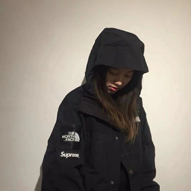 supreme x the north face gore tex