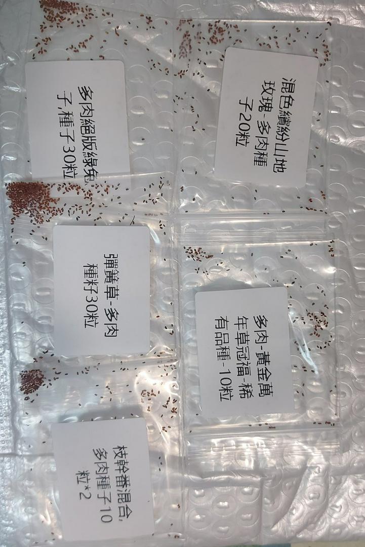 50款稀有品種多肉種子多肉種籽發芽率99 超低價限時搶購 蝦皮購物
