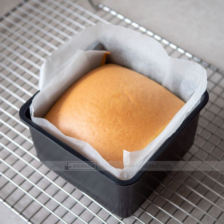 [台灣現貨]BreadLeaf 迷你古早蛋糕模 正方麵包模 加高正方形深型烤盤 不粘烤盤 不沾烤模 模具【B116】模子
