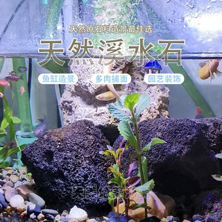 大磯沙的價格推薦 21年8月 比價撿便宜