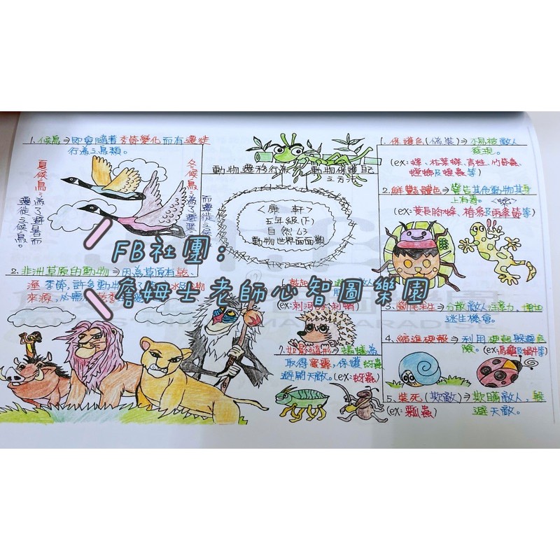 詹姆士心智圖筆記 國小5年級 下學期 各科筆記 蝦皮購物