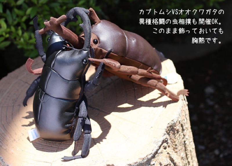 日本鍬型蟲獨角仙甲蟲娃娃 現貨 蝦皮購物