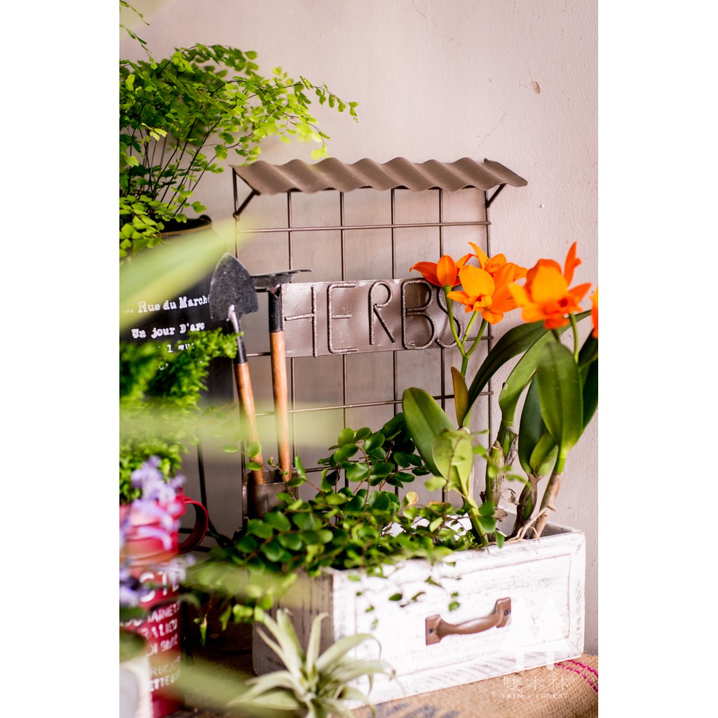 【🌲雙木林嚴選】日式ZAKKA園藝 馬口鐵 鐵製花盆 花器: 木盒鐵窗造型