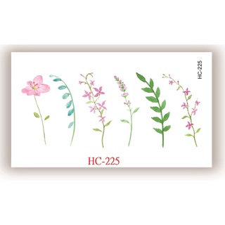 小草花 優惠推薦 22年5月 蝦皮購物台灣