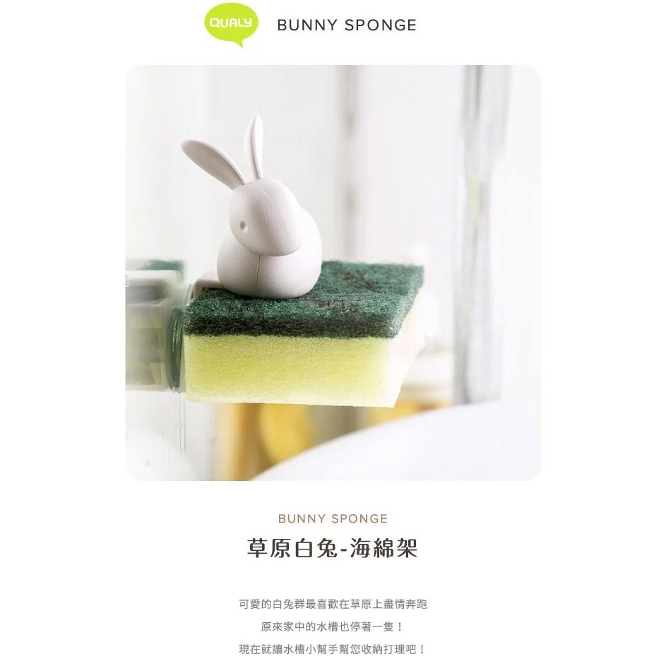 Qualy 草原白兔海綿架壁掛式吸盤i D 現貨 蝦皮購物
