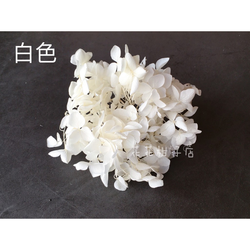 花花柑仔店 進口不凋繡球 進口繡球不凋花乾燥花永生花材花束捧花盆花 蝦皮購物