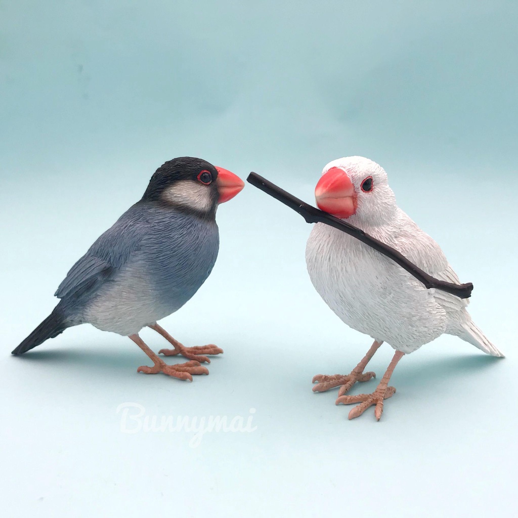 Bunny麥 日本連線文鳥白文鳥黑文鳥擺飾吸鐵 蝦皮購物