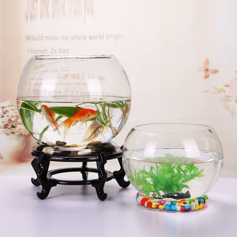 圓形玻璃魚缸創意帶底水族箱大號生態金魚烏龜缸造景桌面水培花瓶小小 蝦皮購物