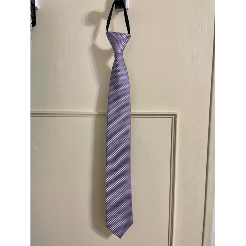 用一次 NET 紫羅蘭色 格紋領帶 領帶 西裝 拉鍊式領帶 快拆