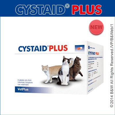 🐱琪琪本舖🐱英國CYSTAID PLUS利尿通-貓 30粒/盒