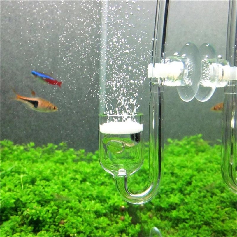 水族館 CO2 擴散器止回閥 U 形玻璃管吸盤適用於 4x6mm 管魚缸