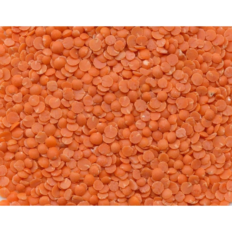 【彰農米糧】 有機紅扁豆