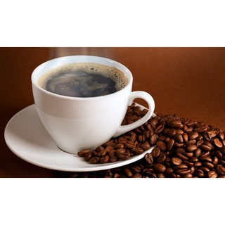 Cafi coffee手作自家烘培師烘培頂級單品咖啡豆哥斯大黎加卡內特莊園音樂家系列-蕭邦1磅特價1700-全省免運