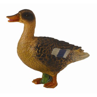 「芃芃玩具」COLLECTA 動物模型恐龍模型 R88379 綠頭鴨子(雌) 模擬 教材 教學 貨號88379