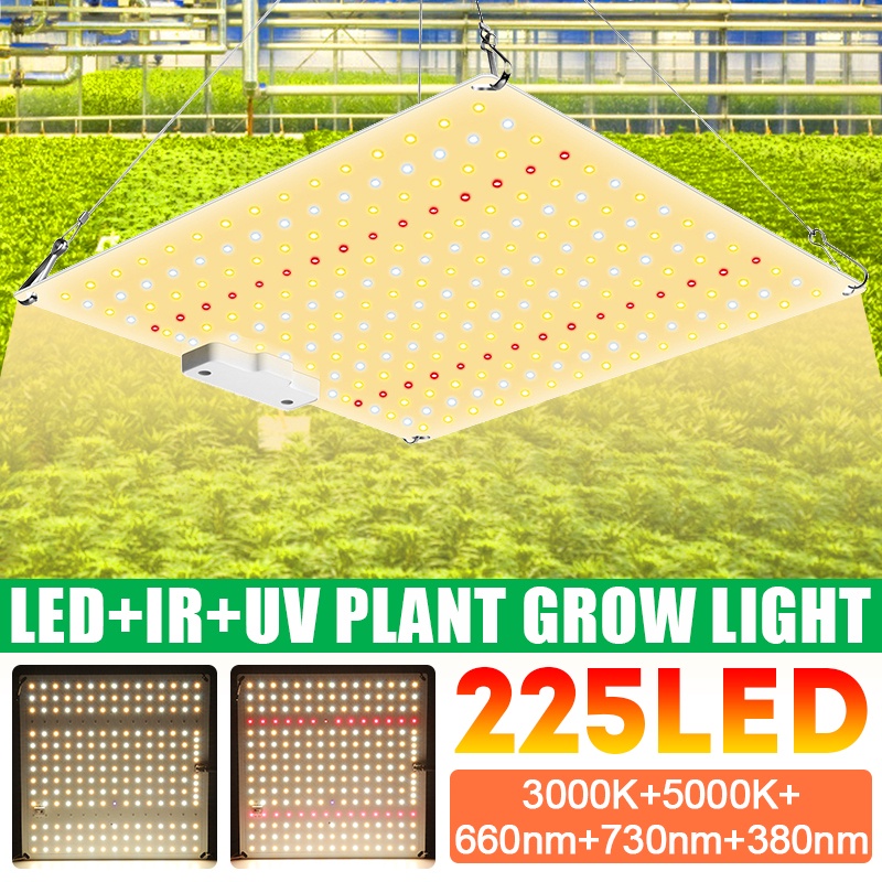 1000w LED 植物生長燈面板全光譜植物燈 AC100-277V 歐盟/美國插頭,用於室內種植帳篷植物生長燈