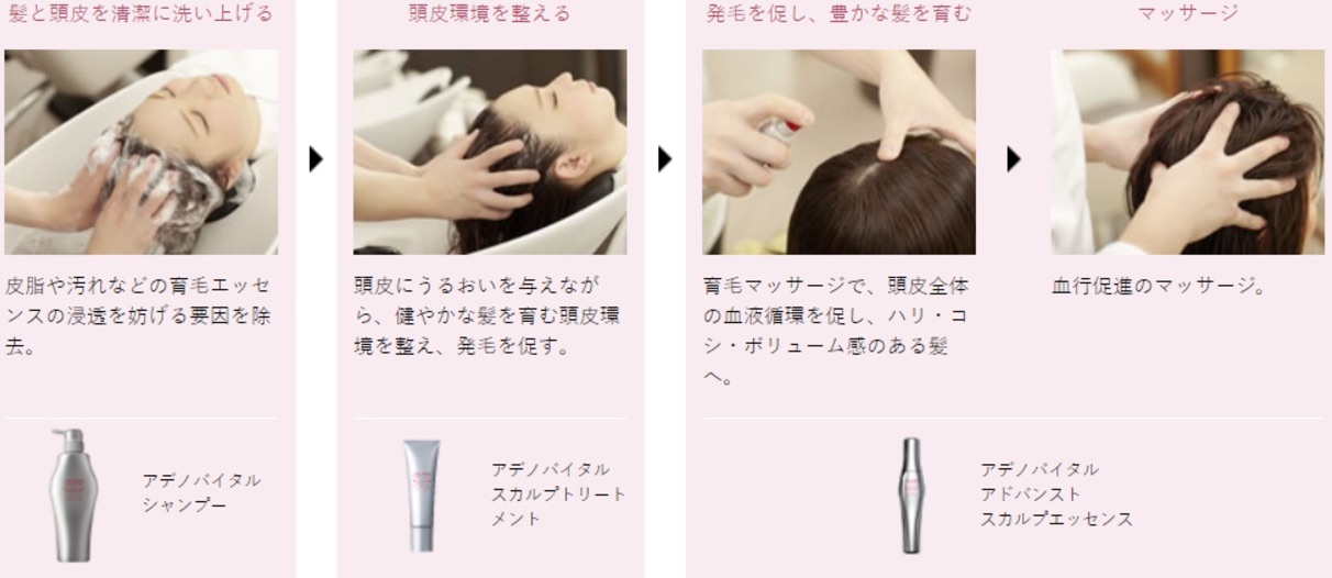 日本shishedo資生堂育毛修護精華素 預購 蝦皮購物