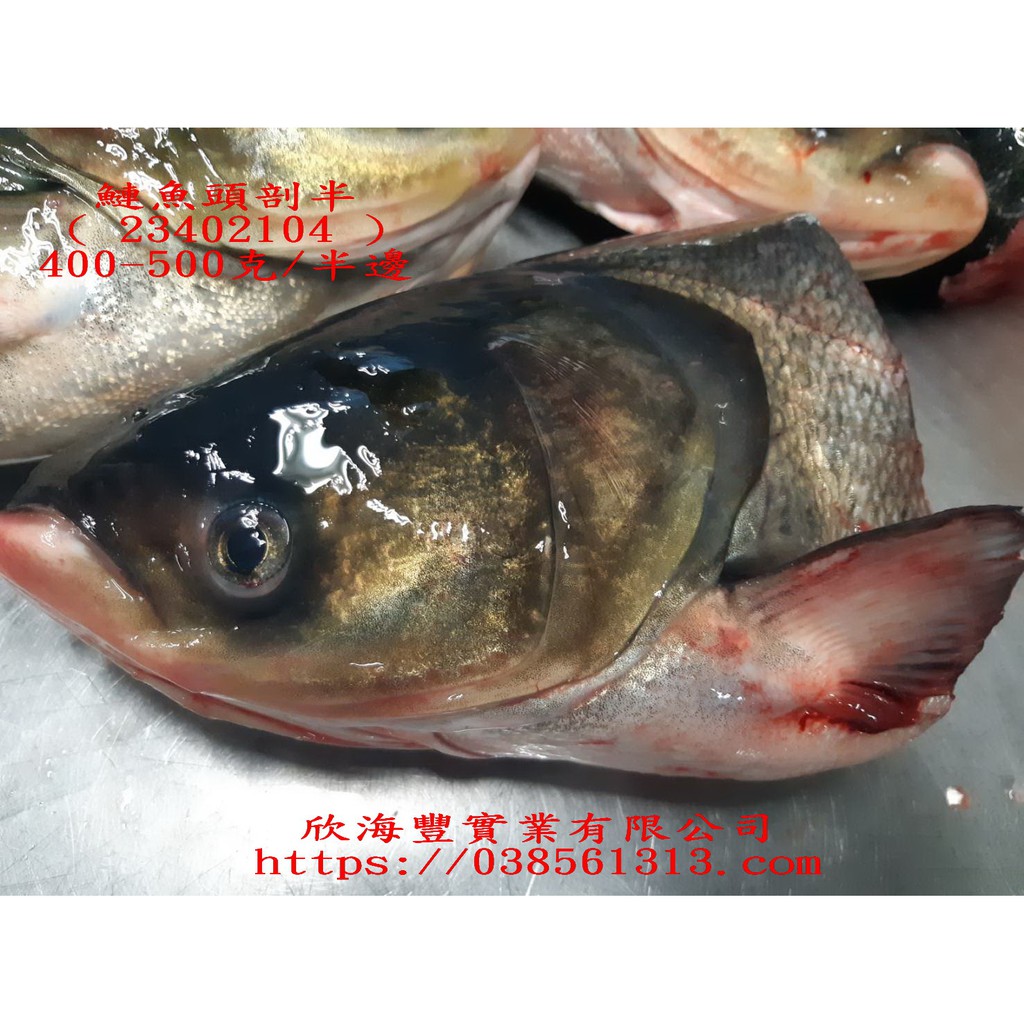 海鮮7 11 鰱魚頭剖半400 500克魚頭肉質細嫩 營養豐富 每包150元 蝦皮購物