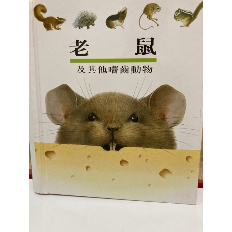 《二手童書出清》理科第一個發現：老鼠及其他囓齒動物