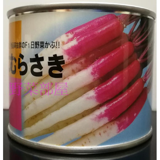 【萌田種子~】I41 日本紅白長型無菁種子 ,F1品種 ,肉質細密 ~