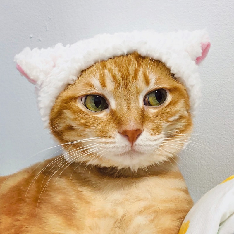 [抱怨] 蝦皮賣家寵物飼料機修了2個月又少回應