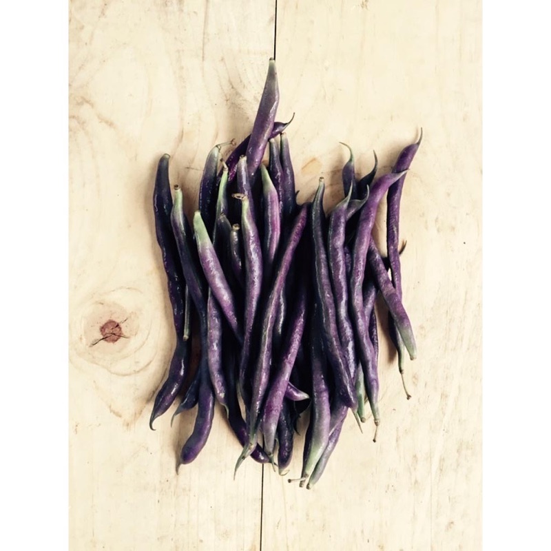 敏豆種子四季豆種子四季豆無蔓矮叢四季豆玉豆帶莢豌豆豆角敏豆仔敏豆菜豆豆類種子 農產種子郵購讚 蝦皮購物