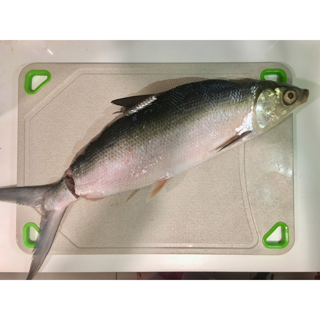 台南七股鹹水養殖無刺虱目魚 虱目魚丸 產地直送 蝦皮購物