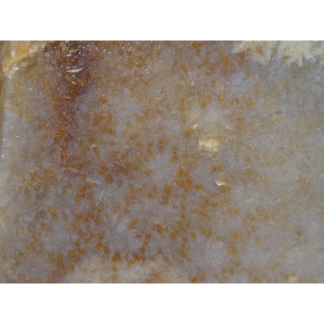 《藍金寶石玉石批發區》→〈原石系列〉→水洗包漿明顯立體菊花珊瑚玉髓原礦〈4580公克→AD2258