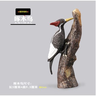 稀有SPG 正版 北美 紅頭 啄木鳥 鳥類 鳥 模擬動物模型 套裝 野生動物 兒童玩具 益智禮物