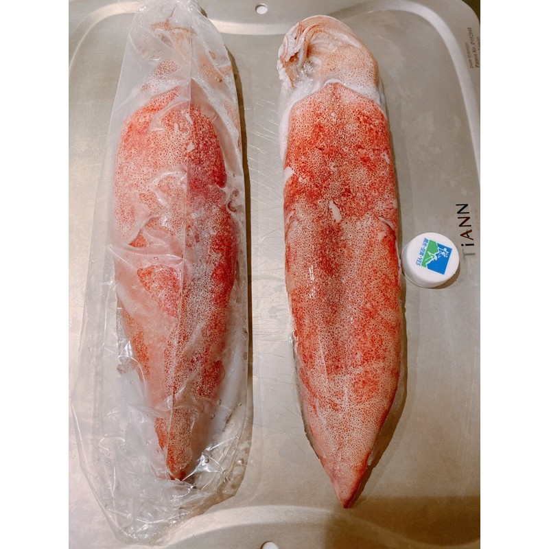 ［Seafoods]現活冷凍中卷（大隻）（10隻免運喔）