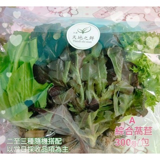 【天地之鮮】新鮮有機無毒萵苣 燒烤生菜盒 生菜沙拉