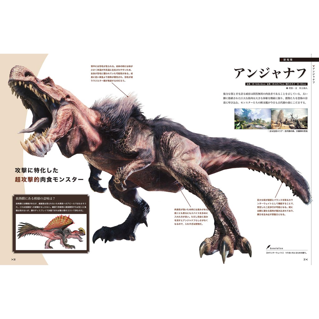 代訂 Monster Hunter超解釋生物論魔物獵人15周年介紹書 蝦皮購物