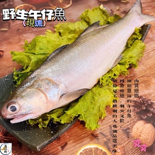 (温好鮮-水產)現流ㄟ野生午仔魚🐟附發票