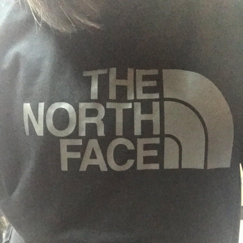 Op83912下標 9.9成新 The north face 黑色logo T