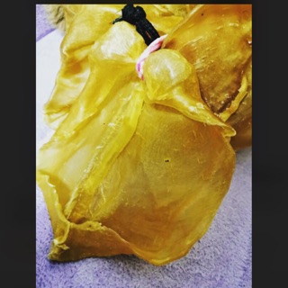 黃花膠一份1頭/（5-6頭）～花膠桶 廣肚 鴨泡肚 魚膠 車輪牌鮑魚 罐頭 海參 魚翅 罐頭禮盒 日本幹貝