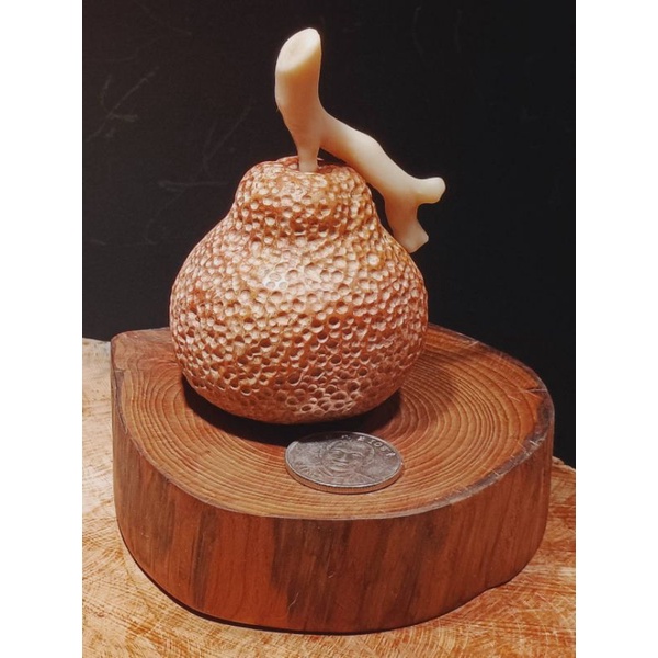 澎湖陶兵手雕藝術品（任樹龍） 橘子_051（印尼薑石&amp; 白珊瑚） 手工 石雕