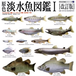 Yujin 轉蛋原色淡水魚圖鑑ii 鯽魚日本鰻鱺藍鰓太陽魚黑點多紀魨 河魨鰈魚 比目魚 蝦皮購物