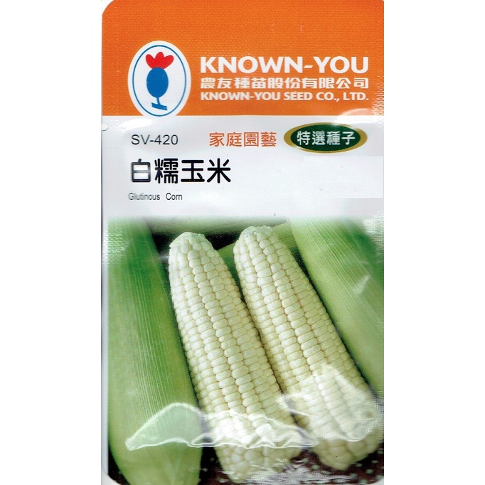 種子王國 白糯玉米 Glutinous Corn (sv-420) 玉米  【蔬果種子】農友種苗特選種子 每包約20公克