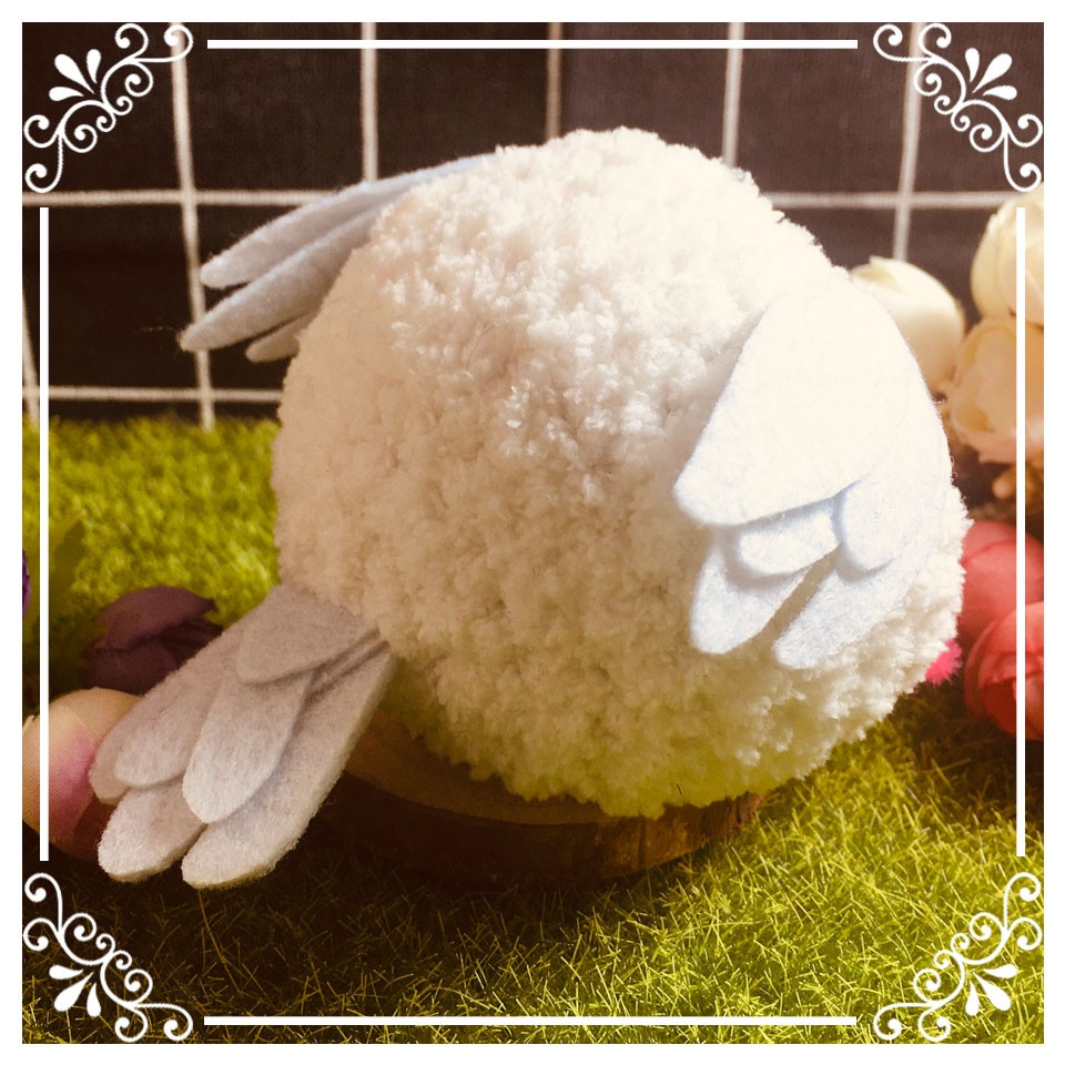 白文鳥在自選的價格推薦 年11月 比價比個夠biggo