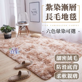 【📣快速出貨】長毛地毯 絨毛地墊 北歐大地毯 床邊小地毯 客廳房間臥室家居床邊毯 毛絨大地墊 加厚毛地毯 絲毛床邊墊