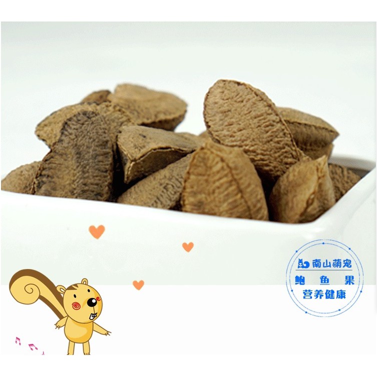 <五寶松鼠堅果雜貨舖>  營養豐富新鮮生鮑魚果*松鼠飛鼠大赤鼯鼠倉鼠鸚鵡蜜袋鼯*