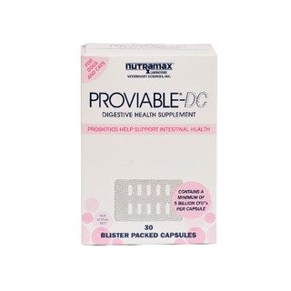 Nutramax 萃麥思 寵物專用 益生菌 Proviable-DC 寵物益生菌
