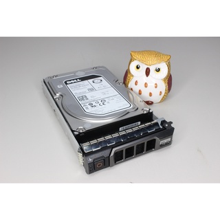 DELL 0DGNTV DGNTV 1TB 7.2K 3.5 NL SAS 12G HDD ST1000NM0045