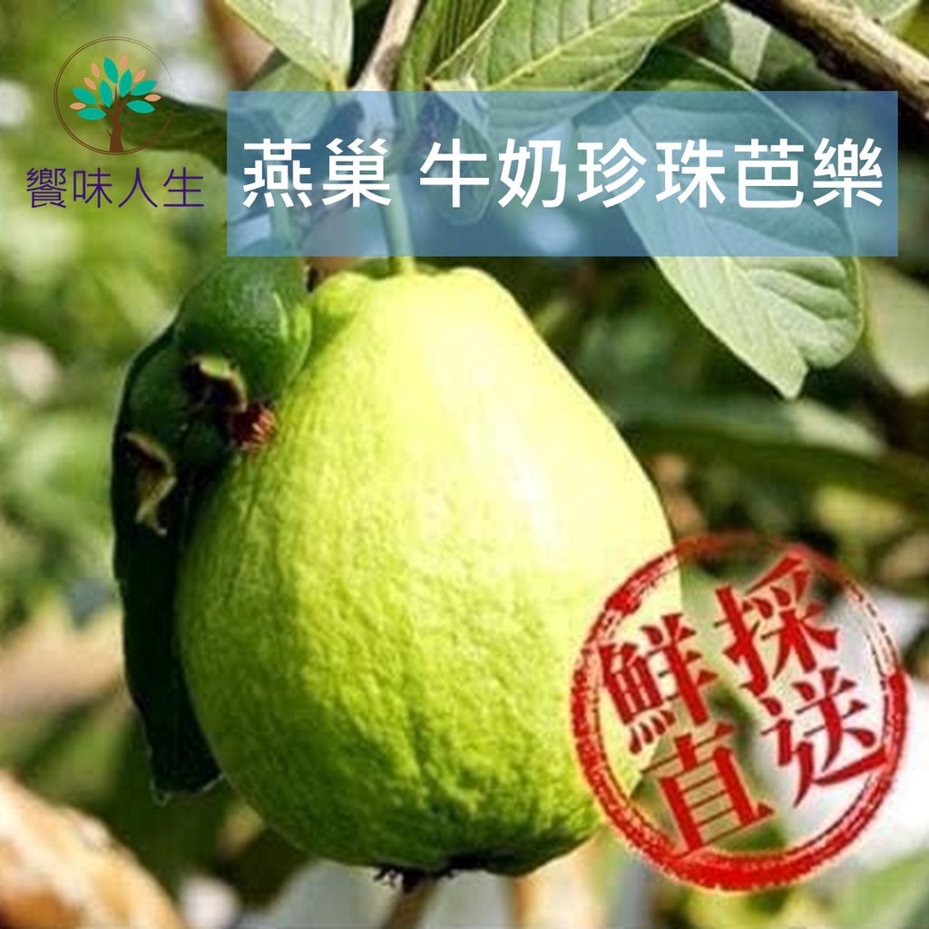 珍珠芭樂 優惠推薦 21年8月 蝦皮購物台灣